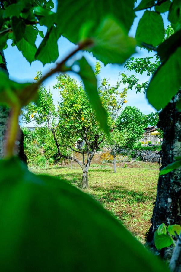 Casa Da Guarda De Fora Villa Paredes  Eksteriør bilde